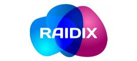 Подробнее о программном решении RAIDIX RAIN от команды «Рэйдикс»