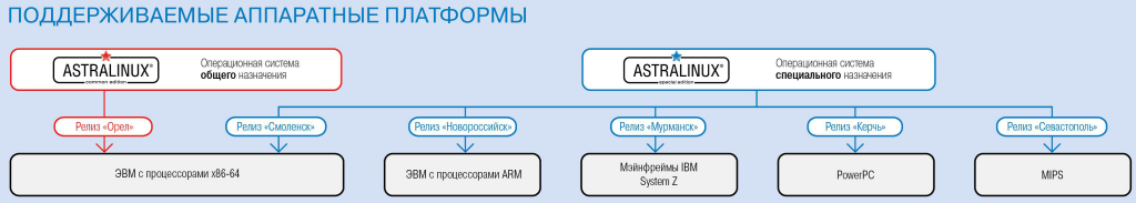 Астра.png